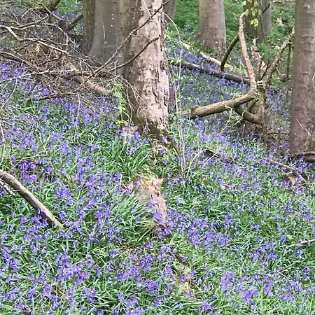 Yorecroft