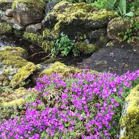 Yorecroft Bed & Breakfast 4*