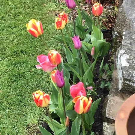 Yorecroft Bed & Breakfast 4*